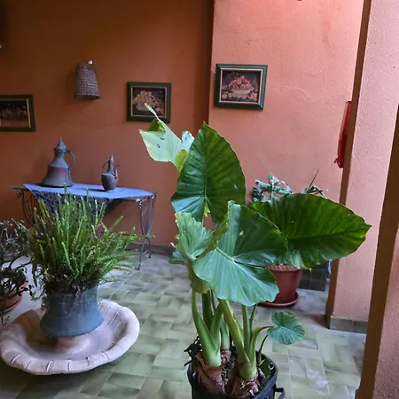 A Pochi Passi Dal Mare *